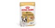 ROYAL CANIN French Bulldog Adult karma mokra, pasztet dla dorosłych psów rasy bulldog francuski
