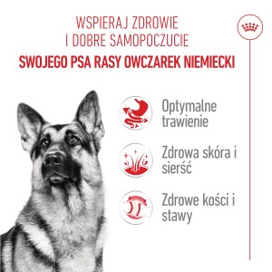 ROYAL CANIN German Shepherd Adult 