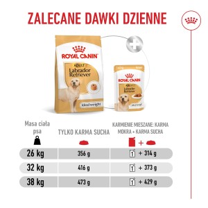 ROYAL CANIN Labrador Retriever Adult