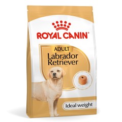 ROYAL CANIN Labrador Retriever Adult