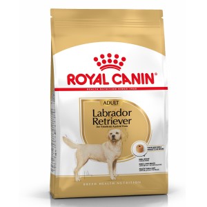 ROYAL CANIN Labrador Retriever Adult