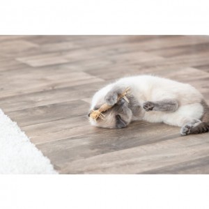 TRIXIE Patyk z matatabi z frędzlami, 24 cm