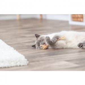 TRIXIE Patyk z matatabi z frędzlami, 24 cm