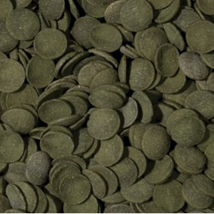 TROPICAL Green Algae Wafers - roślinne wafelki dla glonojadów