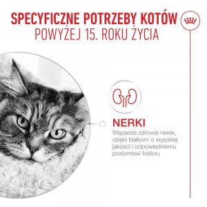 ROYAL CANIN Indoor Jelly (galaretka)