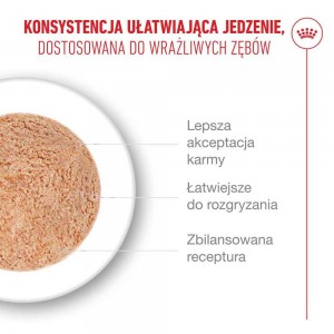 ROYAL CANIN Indoor Jelly (galaretka)