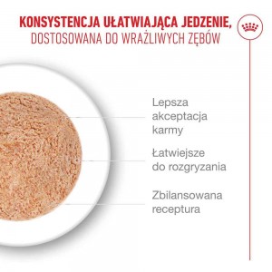 ROYAL CANIN Indoor Jelly (galaretka)