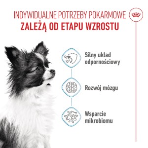 ROYAL CANIN X-Small Puppy karma sucha dla szczeniąt ras miniaturowych od 2 do 10 miesiąca życia o masie ciała do 4kg