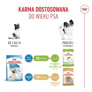 ROYAL CANIN X-Small Puppy karma sucha dla szczeniąt ras miniaturowych od 2 do 10 miesiąca życia o masie ciała do 4kg