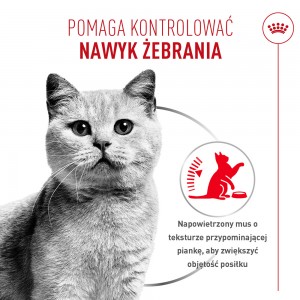 ROYAL CANIN Appetite Control Care Airlift karma mokra, mus dla kotów dorosłych