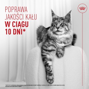 ROYAL CANIN Digestive Care AirLift karma mokra, mus dla kotów dorosłych, wspierająca prawidłowe trawienie
