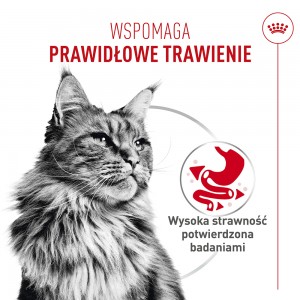 ROYAL CANIN Digestive Care AirLift karma mokra, mus dla kotów dorosłych, wspierająca prawidłowe trawienie