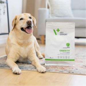 VETEXPERT Obesity Dog 2kg