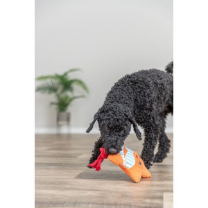 TRIXIE Rozgwiazda ze sznurkiem zabawka dla psa 22cm