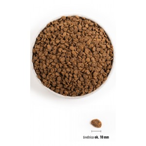 ORIJEN Fit & Trim Cat