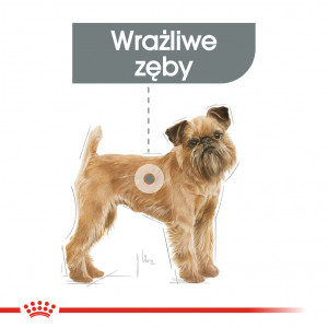 ROYAL CANIN CCN Mini Dental Care