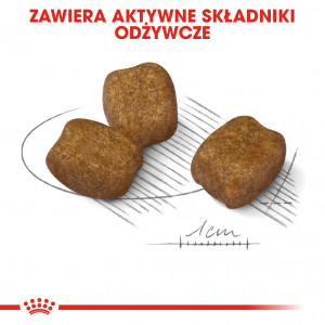 ROYAL CANIN CCN Mini Dental Care