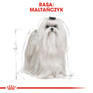 ROYAL CANIN Maltese Adult