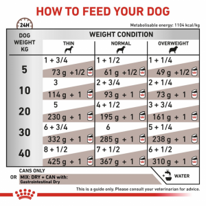 ROYAL CANIN Veterinary Dog Gastrointestinal Loaf pasztet 400g