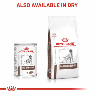 ROYAL CANIN Veterinary Dog Gastrointestinal Loaf pasztet 400g