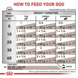 ROYAL CANIN Veterinary Dog Gastrointestinal Loaf pasztet 200g