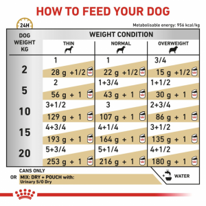 ROYAL CANIN Veterinary Dog Urinary Loaf pasztet 410g