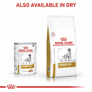 ROYAL CANIN Veterinary Dog Urinary Loaf pasztet 410g