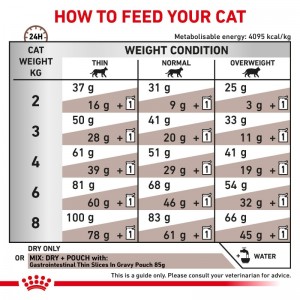 ROYAL CANIN Veterinary Cat Gastrointestinal 2kg