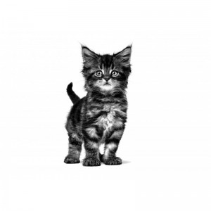 ROYAL CANIN Veterinary Cat Gastrointestinal Kitten 400g
