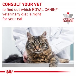 ROYAL CANIN Veterinary Cat Gastrointestinal Kitten 400g