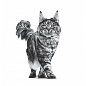 ROYAL CANIN Veterinary Cat Hypoallergenic 2,5kg
