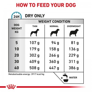 ROYAL CANIN Veterinary Dog Anallergenic 3kg