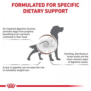ROYAL CANIN Veterinary Dog Gastrointestinal 2kg