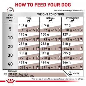ROYAL CANIN Veterinary Dog Gastrointestinal 2kg