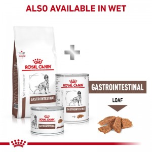 ROYAL CANIN Veterinary Dog Gastrointestinal 2kg