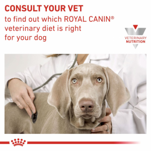 ROYAL CANIN Veterinary Dog Hypoallergenic Moderate Calorie 1,5kg