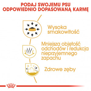 ROYAL CANIN Chihuahua Adult karma sucha dla psów dorosłych rasy chihuahua