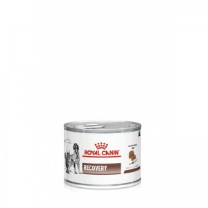 ROYAL CANIN Veterinary Cat Dog Recovery Mousse 195g