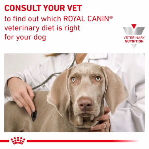 ROYAL CANIN Veterinary Dog Statiety Weight Managment Loaf pasztet 410g