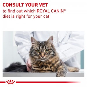 ROYAL CANIN Veterinary Cat Gastrointestinal Fibre Response 2kg