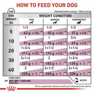 ROYAL CANIN Veterinary Dog Renal Loaf pasztet 410g