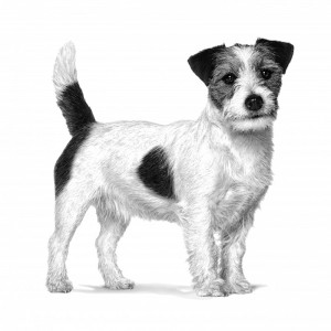 ROYAL CANIN Veterinary Dog Small Breeds Gastrointestinal Low Fat 1,5kg