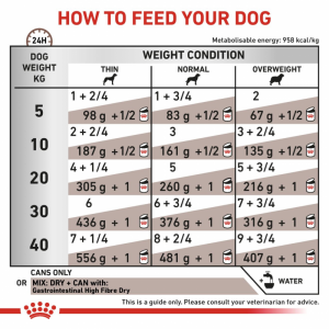 ROYAL CANIN Veterinary Dog Gastrointestinal High Fibre Loaf pasztet 200g