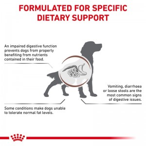 ROYAL CANIN Veterinary Dog Gastrointestinal Low Fat Loaf pasztet 200g
