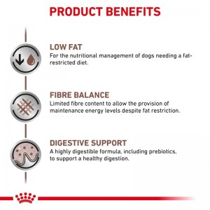 ROYAL CANIN Veterinary Dog Gastrointestinal Low Fat Loaf pasztet 200g