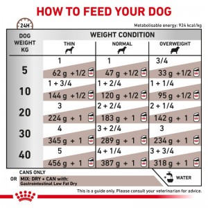 ROYAL CANIN Veterinary Dog Gastrointestinal Low Fat Loaf pasztet 200g