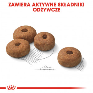ROYAL CANIN CCN Maxi Sterilised karma sucha dla psów dorosłych ras dużych, sterylizowanych