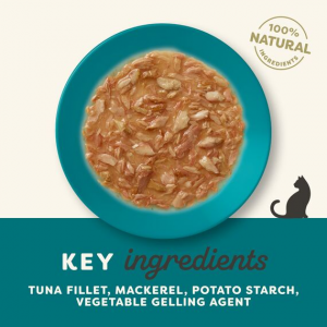 APPLAWS Cat filet z tuńczyka z makrelą w puszce w sosie dla kota 70g