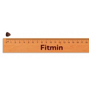 Fitmin Purity Grain Free Adult Mini Beef