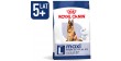 ROYAL CANIN SHN Maxi Adult 5 15kg PROMO Uszkodzenie